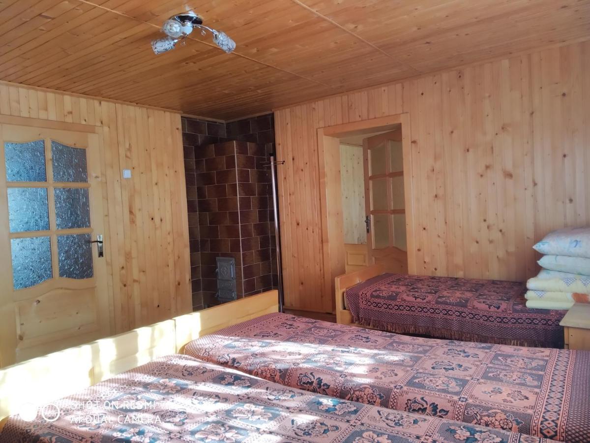У Дядька Guest House Pilipets Room photo