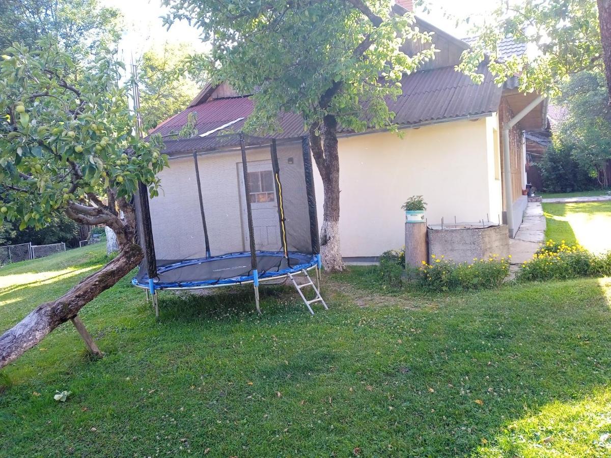 У Дядька Guest House Pilipets Exterior photo
