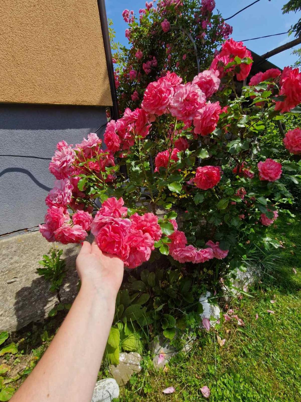 У Дядька Guest House Pilipets Exterior photo