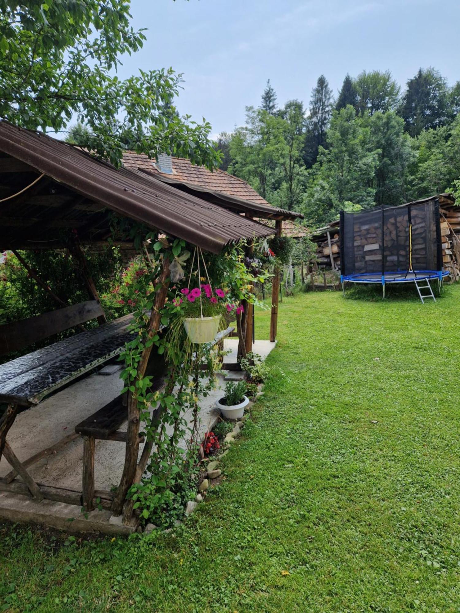 У Дядька Guest House Pilipets Exterior photo