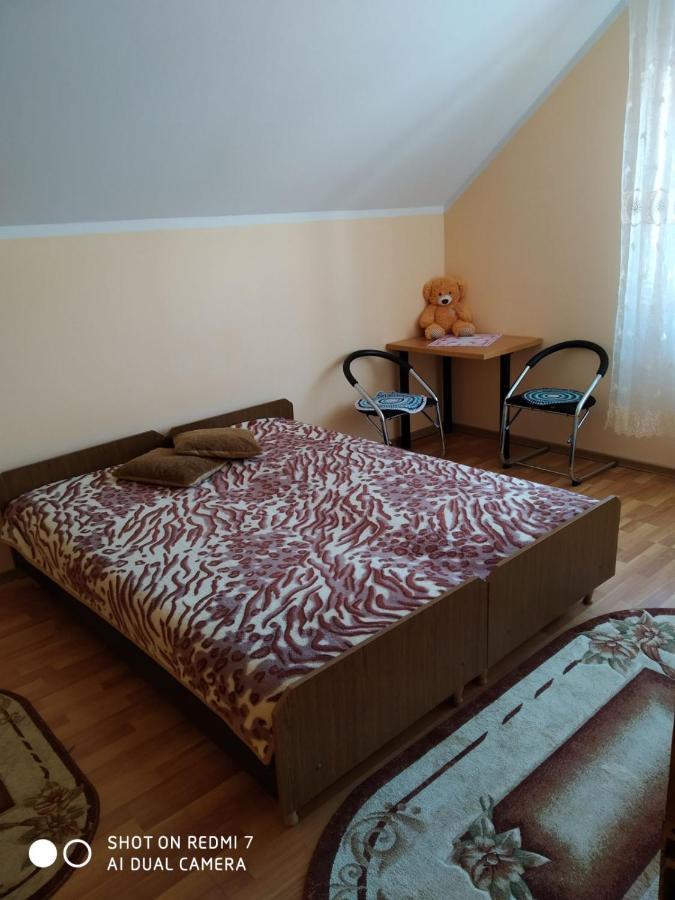 У Дядька Guest House Pilipets Room photo